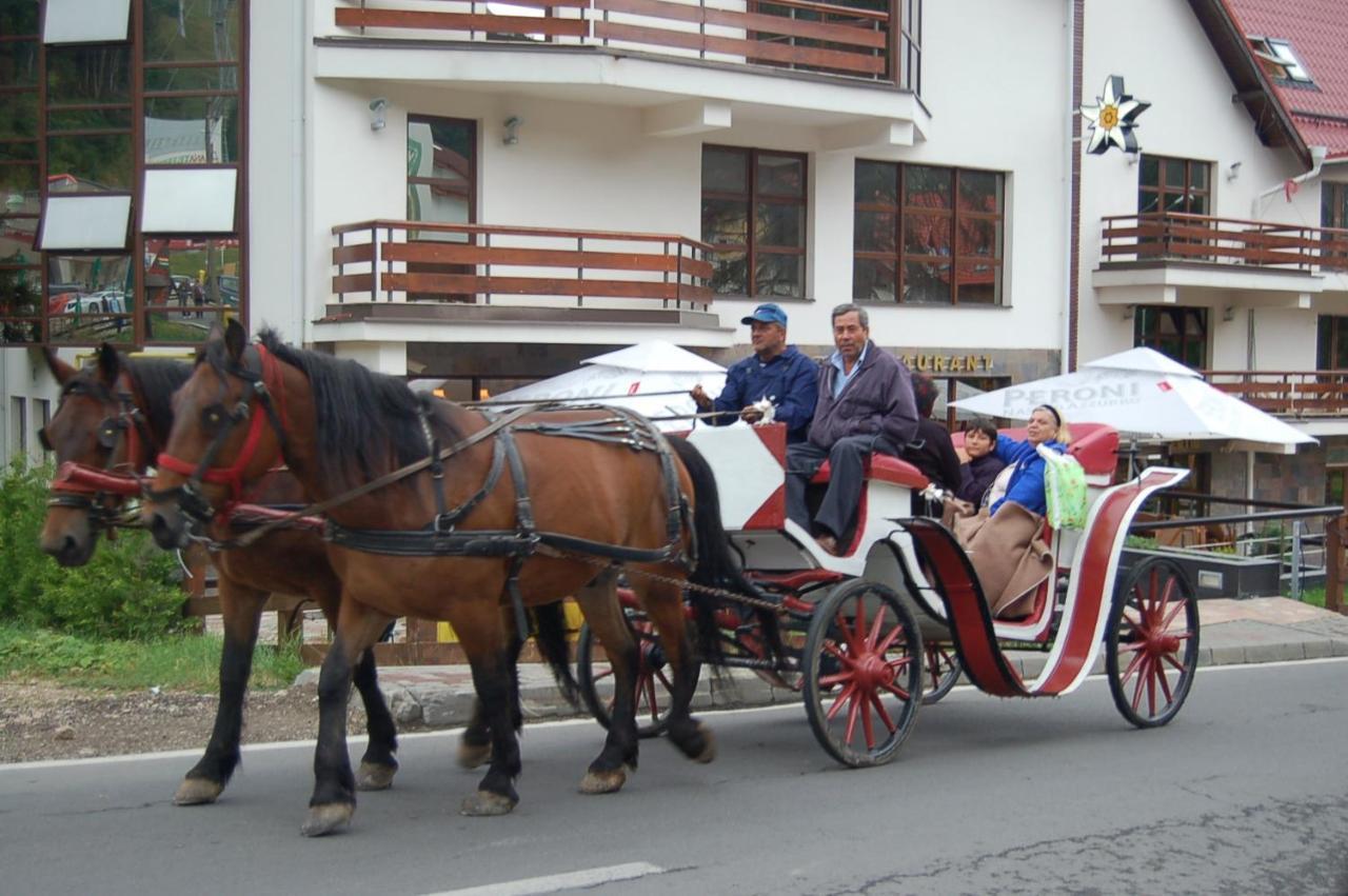 Centrul De Echitatie Poiana Brasov Hotel Luaran gambar
