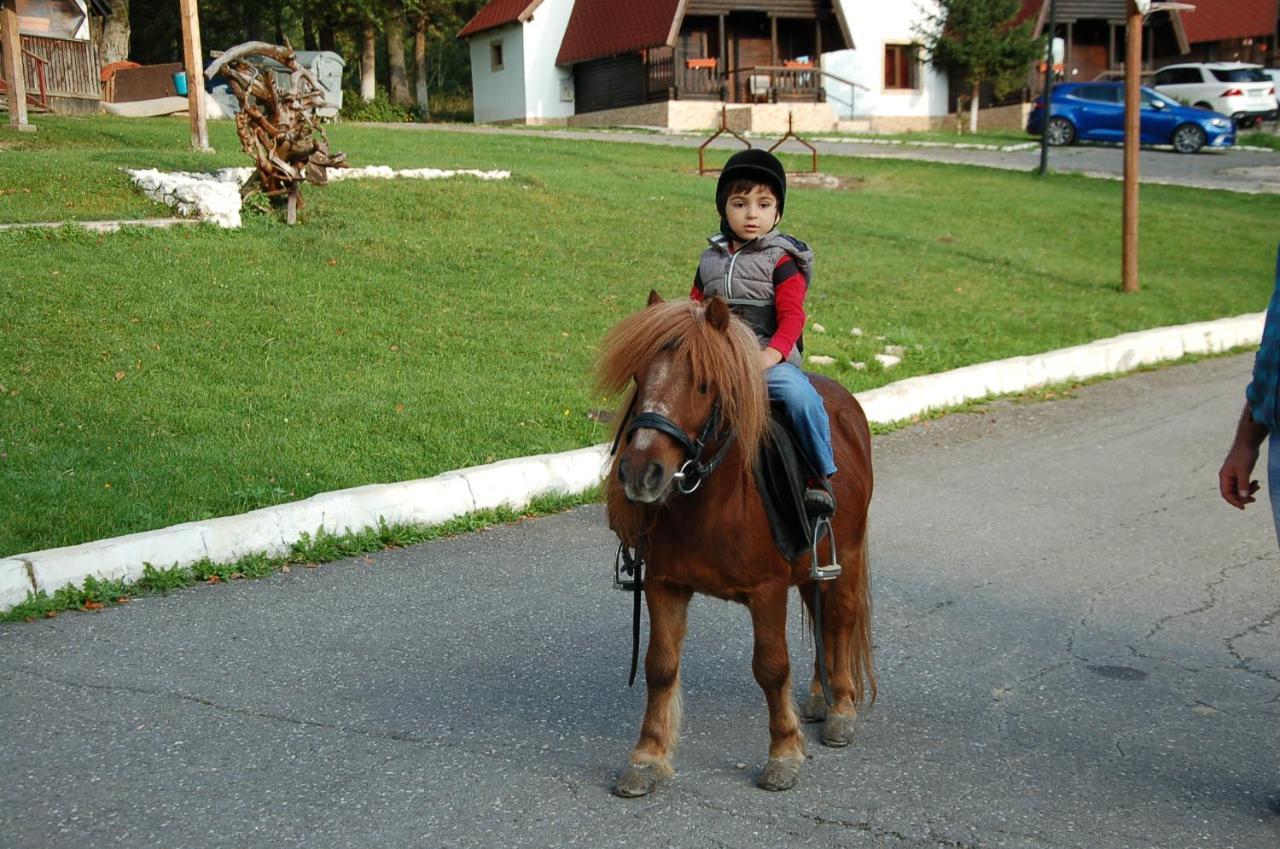 Centrul De Echitatie Poiana Brasov Hotel Luaran gambar