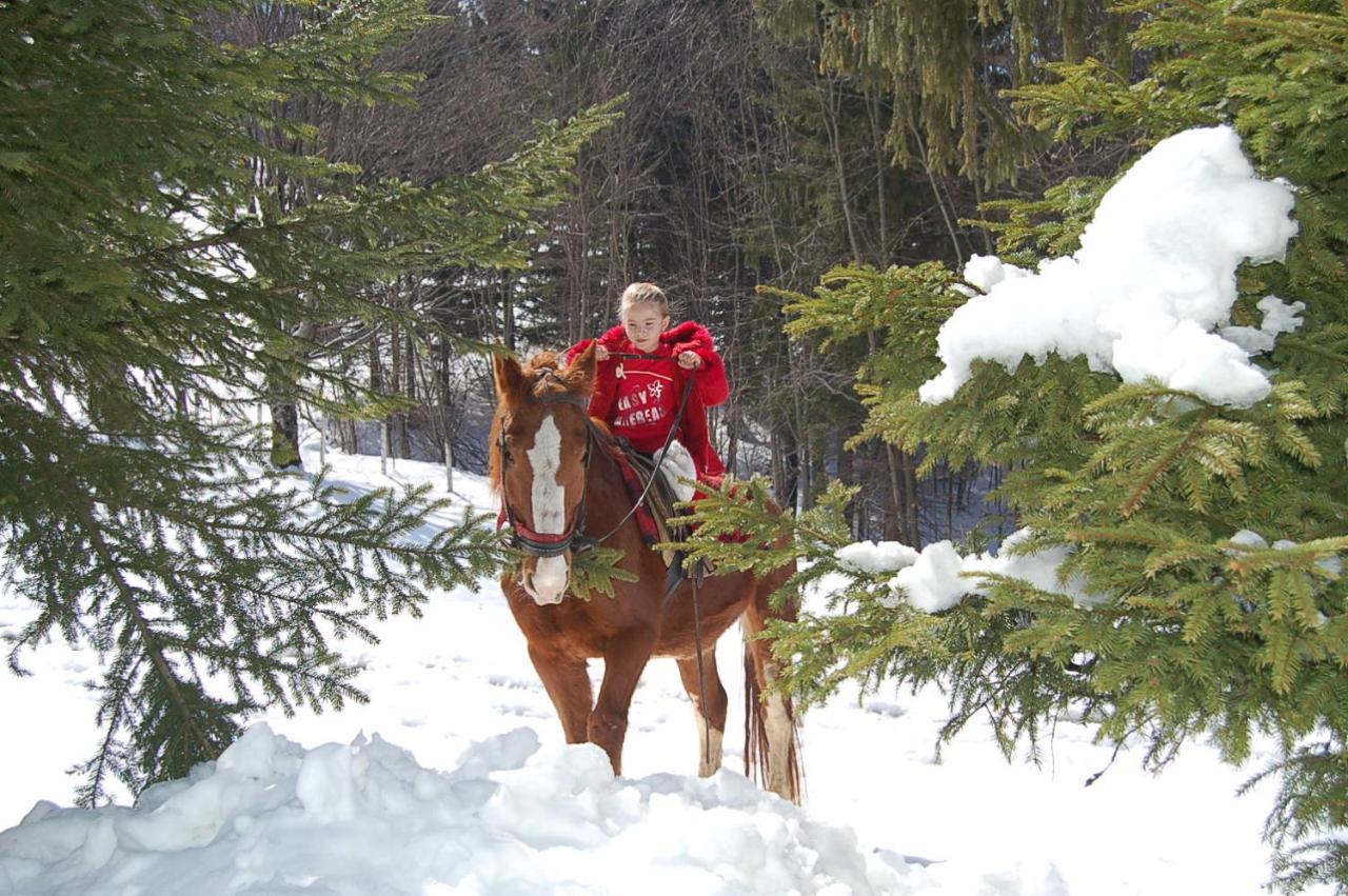 Centrul De Echitatie Poiana Brasov Hotel Luaran gambar